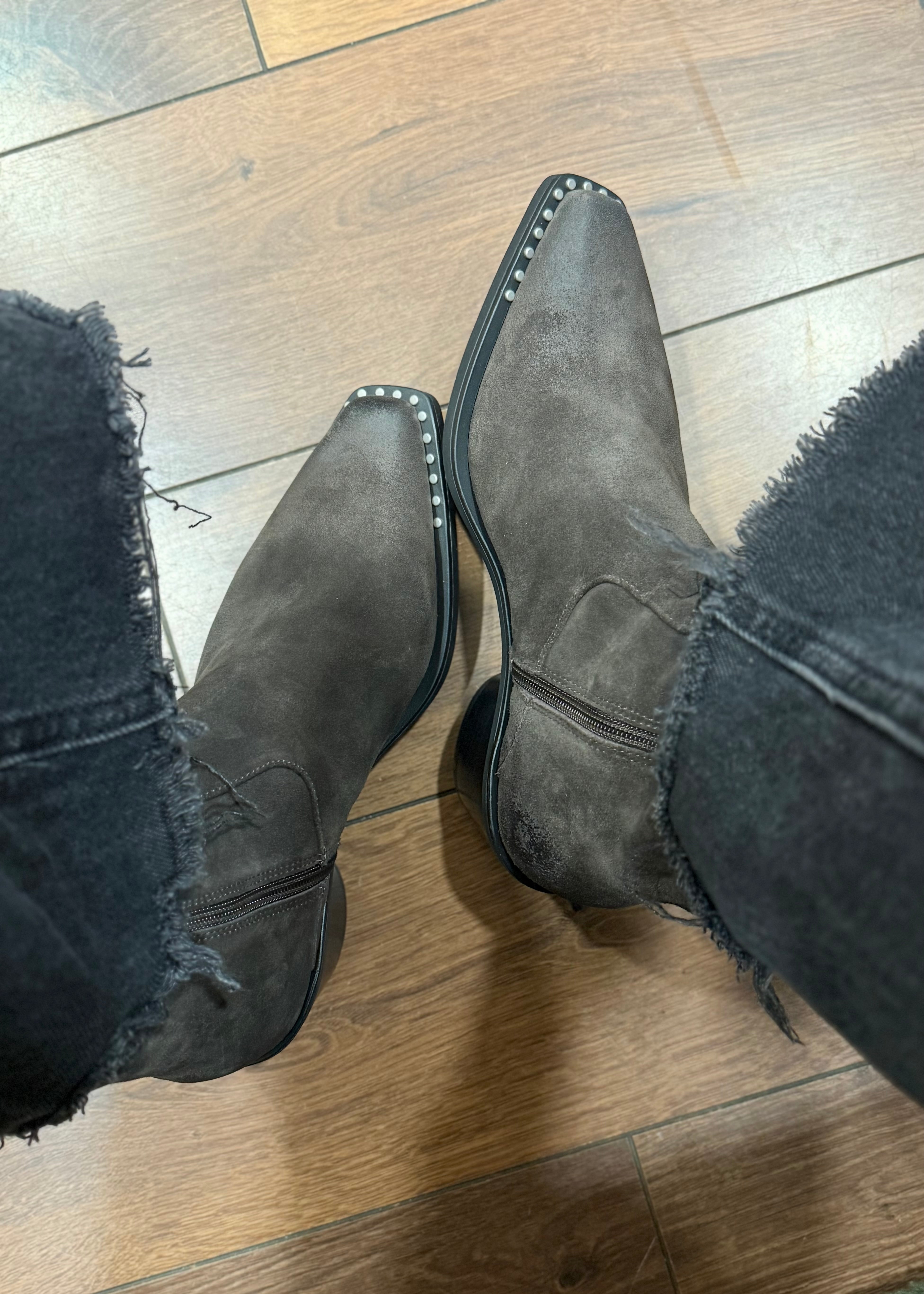 Bottines à talons Ash Hasley Africa Ash