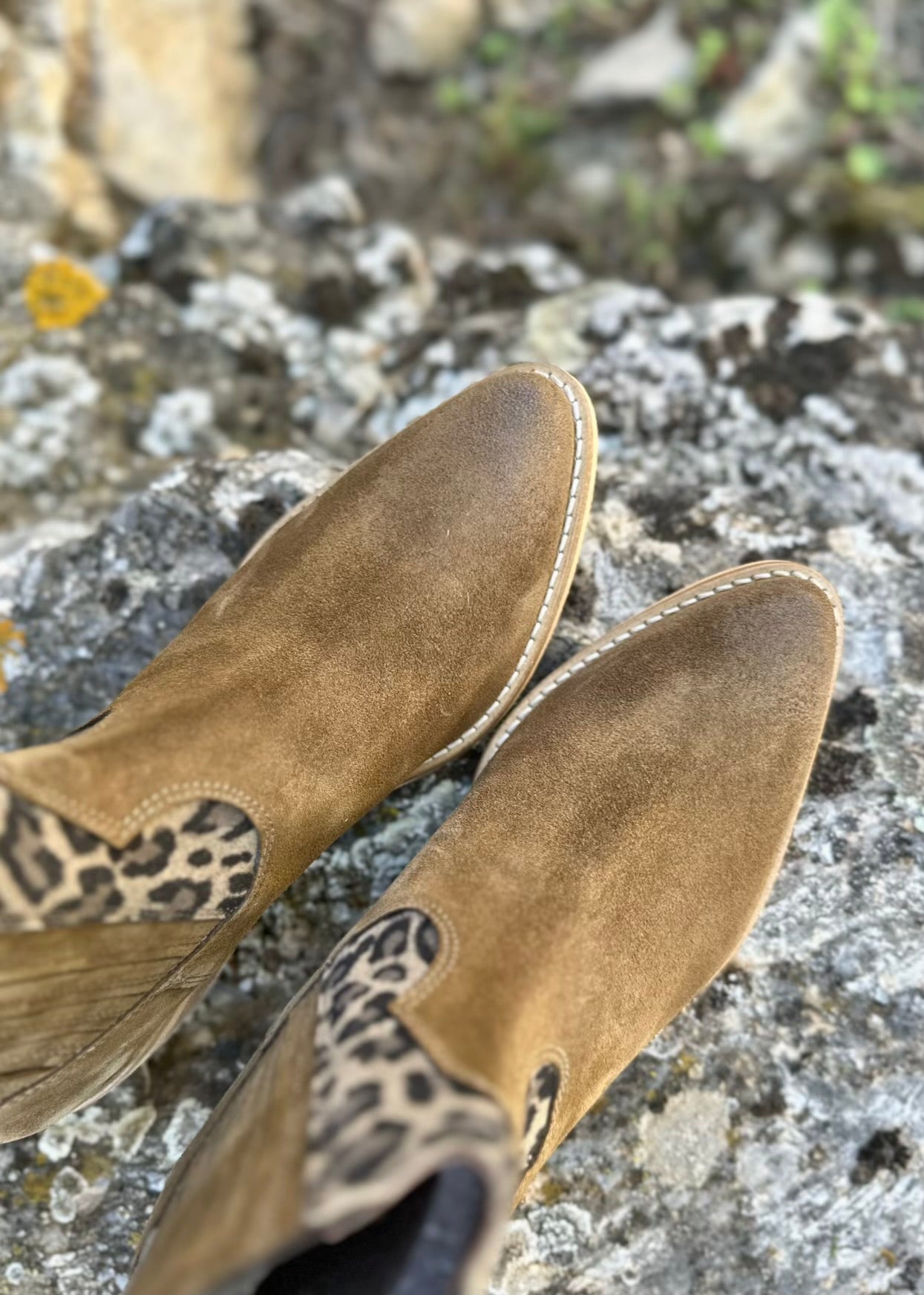 Bottines Minka Design Hadile Olio/Léo - L'adresse Corte