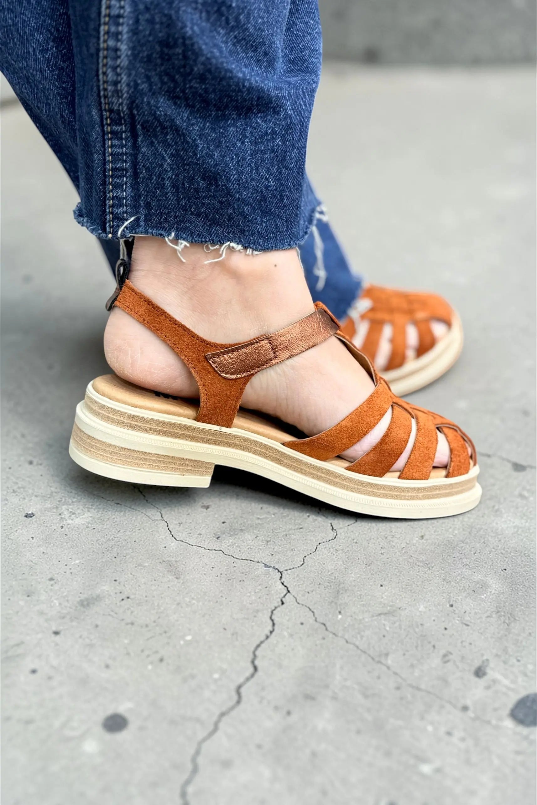 Méduses Mkd Carreau Terracotta Mkd by Minka design