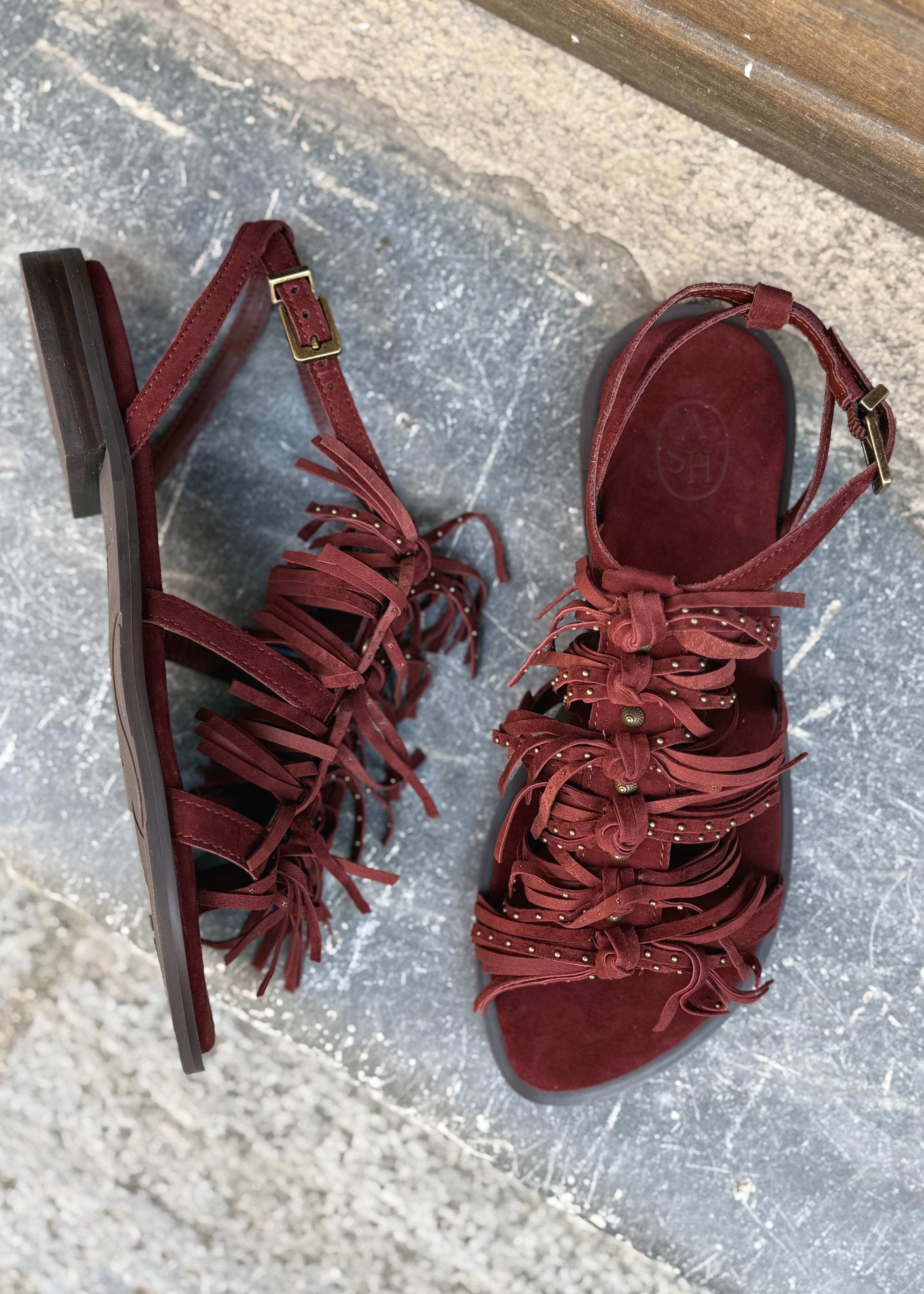 Sandales Ash Panic Marsala fringes Ash