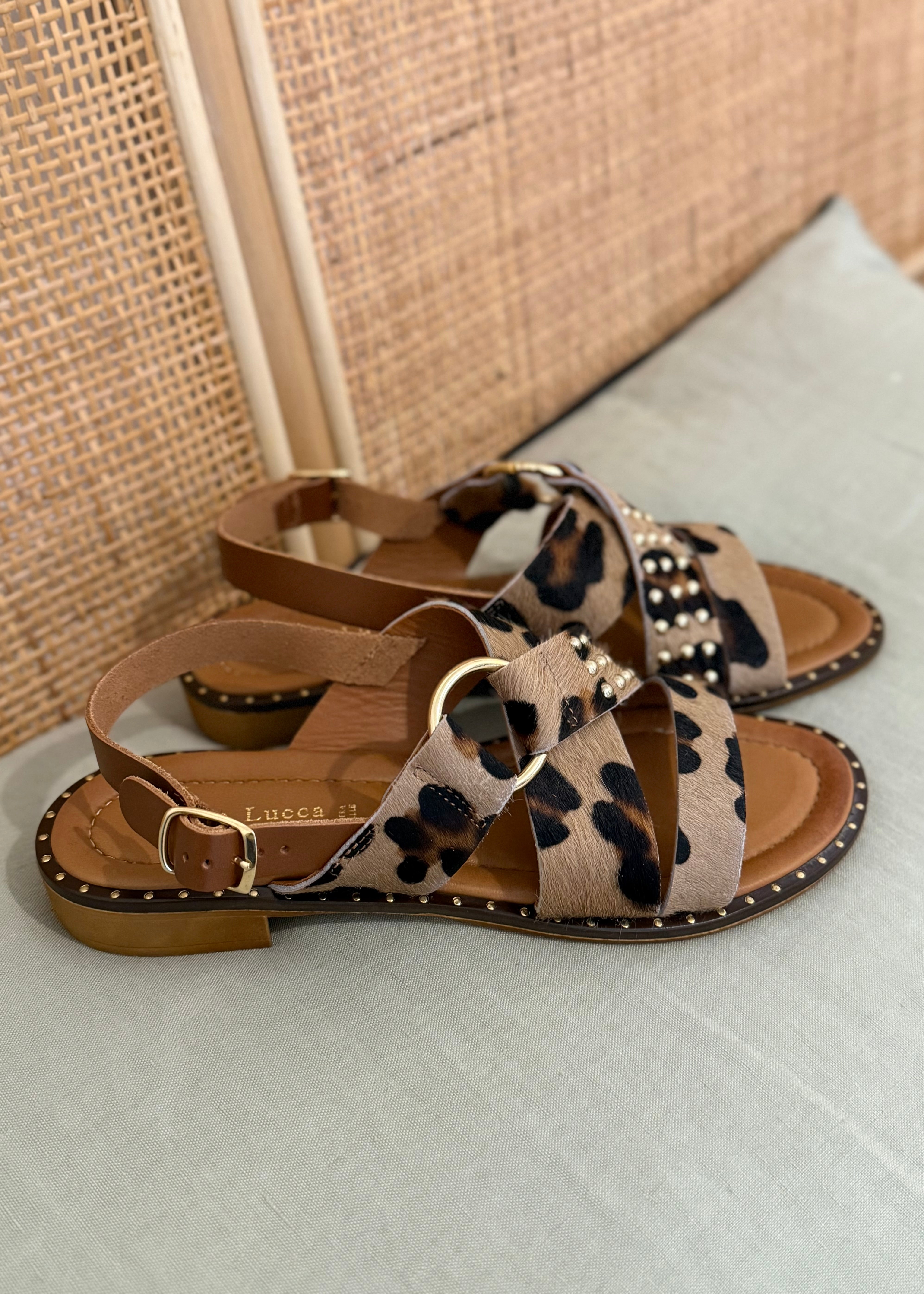 Sandales Donna Lucca 1588 Léopardo Donna Lucca