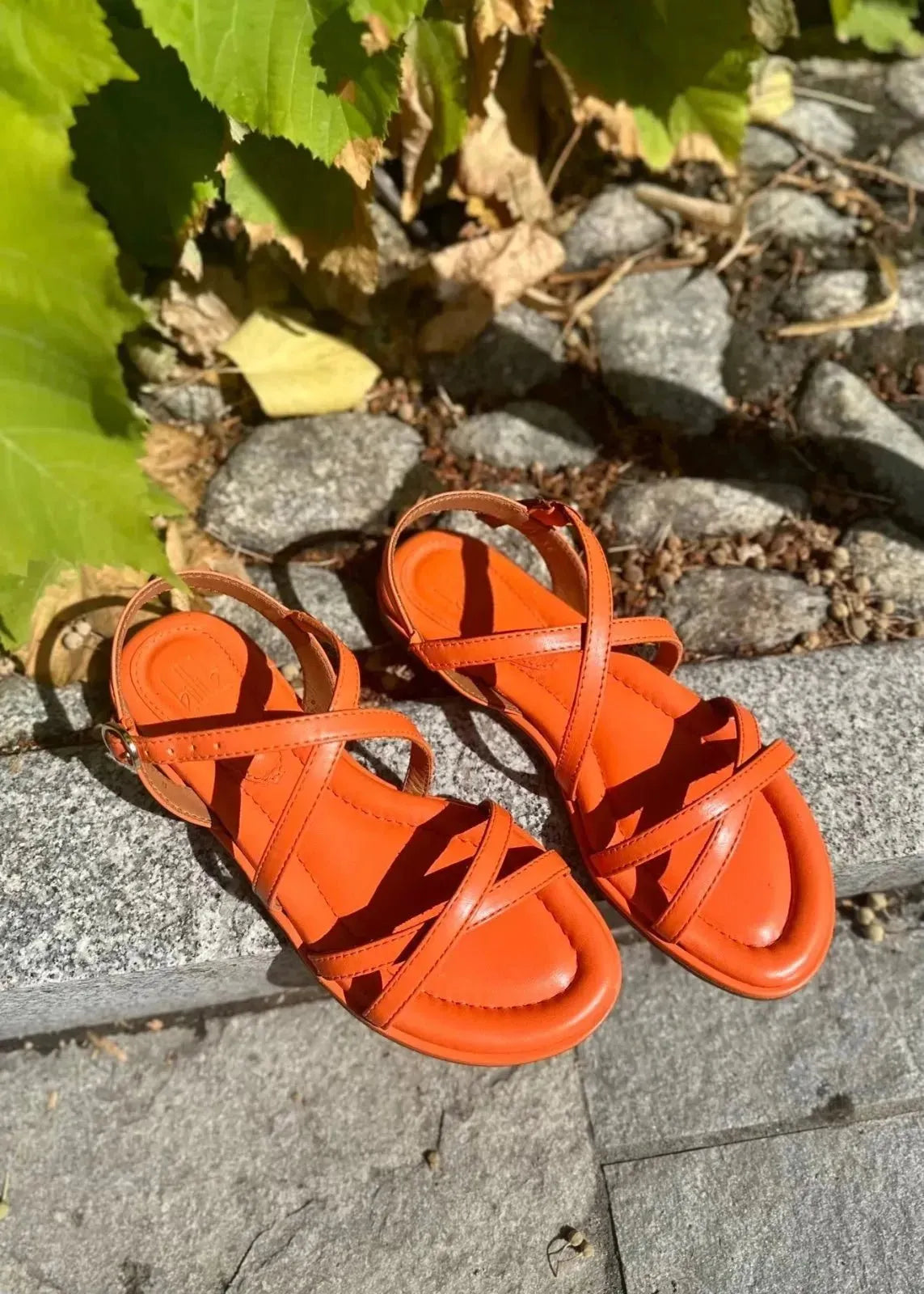 Sandales Billi bi A4221 Orange Billi bi