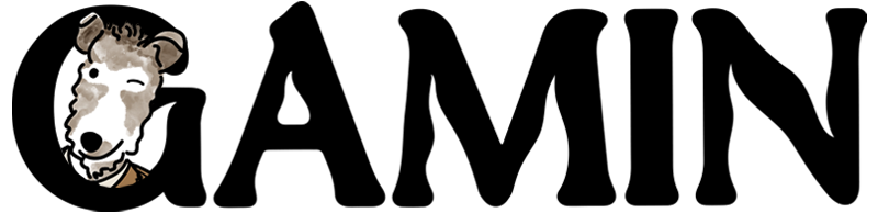 GAMIN UNIVERSE